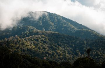 Ecological Threat Report – Sydney Launch