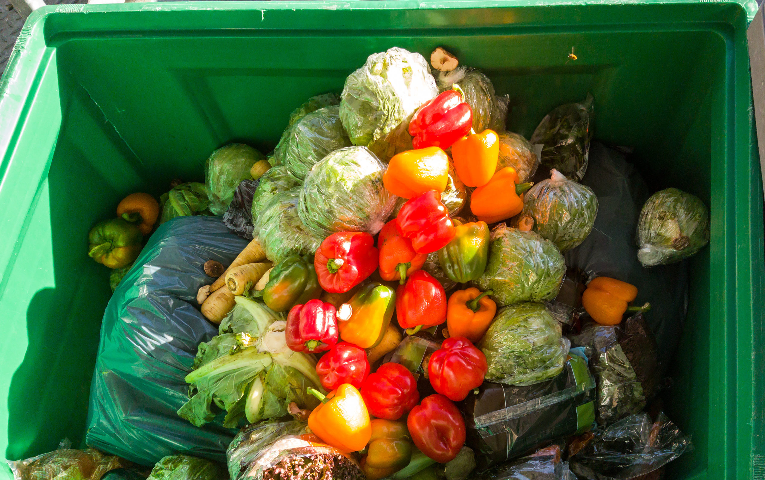 The World s Food Waste Problem Is Bigger Than We Thought Here s What 